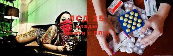 дурь Медвежьегорск
