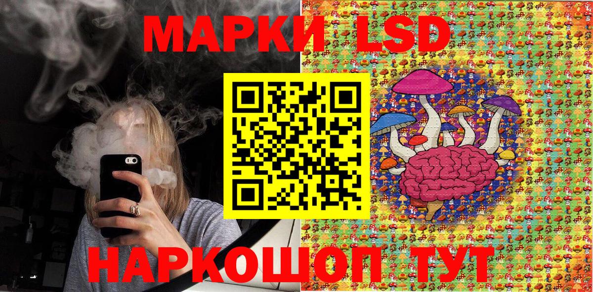 МЕФ Миасс