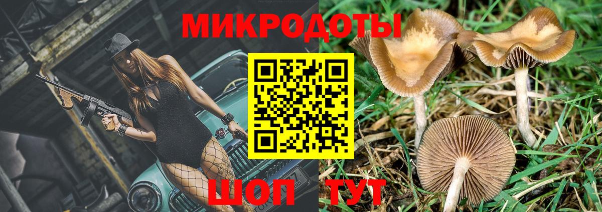 Псилоцибиновые грибы прущие грибы Миасс